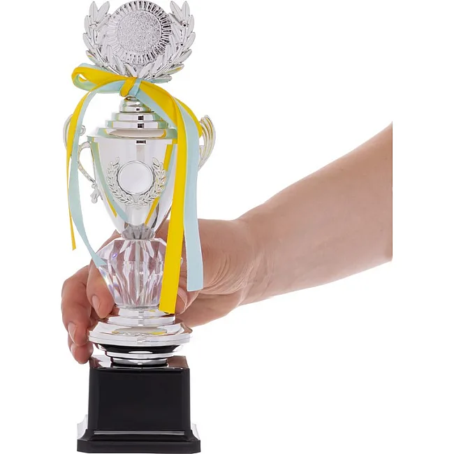 Спортивный кубок
 наградной SP-SPORT
 Hit CRYSTAL K91
 26,5см (Золотой)