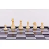 Шахматы
 пластиковые на магнитах SP-SPORT
 SC5477
 19см x 19см