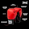 Боксерские перчатки Everlast PROSTYLE 2 BOXING GLOVE красный 16 унций