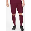 Спортивные шорты challenge JAKO 4421-132