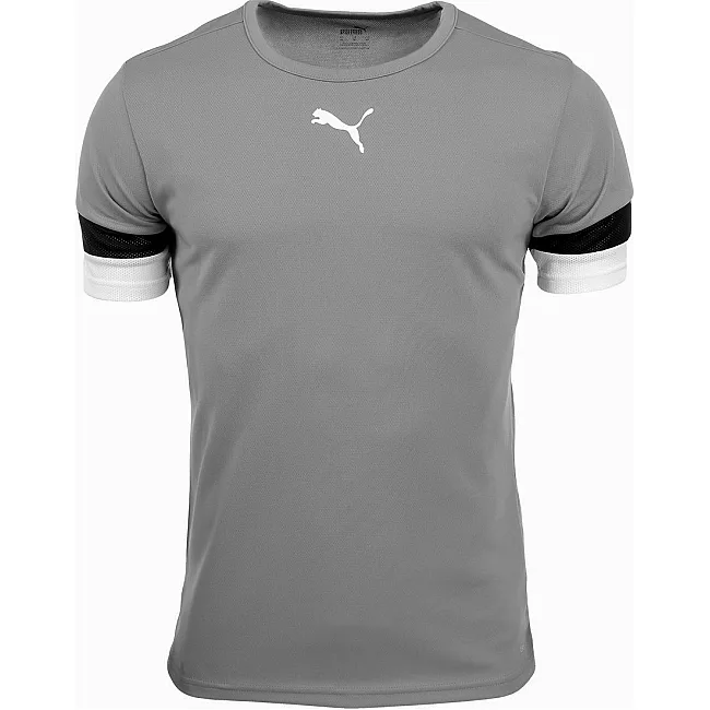 Футболка детская Puma teamRISE Jersey Jr серый