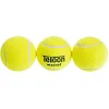 Мячи для большого тенниса TELOON MASICS
OT T801 3шт