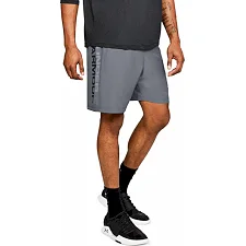 Шорти Under Armour Woven Graphic Wordmark Short Grey