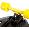 Скейтборд FISH SP-SPORT SK-420-2