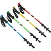 Палка для скандинавской ходьбы RAICO TY-0468 65-140 см (Зеленый)