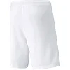 Спортивные детские шорты Puma teamRISE Short Jr белый