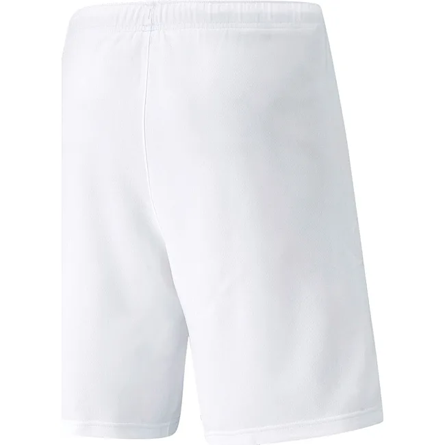 Спортивные детские шорты Puma teamRISE Short Jr белый