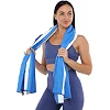 Полотенце для пляжа и бассейна из микрофибры SAILBOLAT BEACH TOWEL T-SCT 80х160 см
см (Голубой-белый)