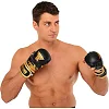 Перчатки Крабы спаринговые для MMA FISTRAGE VL-5521 (Черный-золотой)