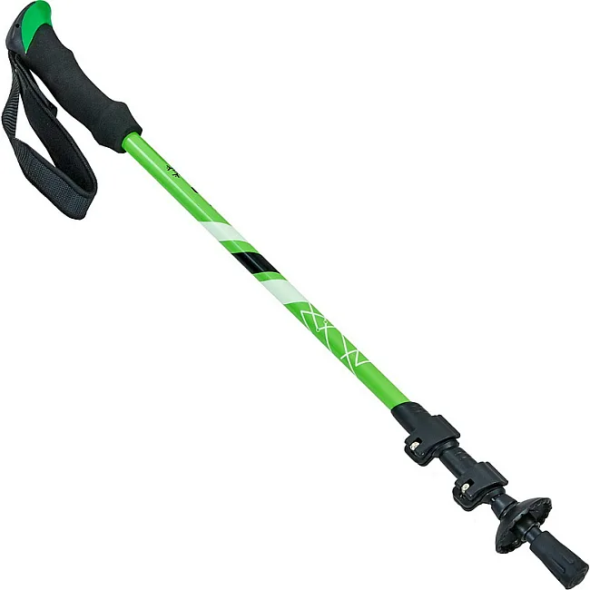 Палка для скандинавской ходьбы RAICO TY-0468 65-140 см (Зеленый)