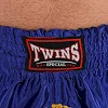 Шорты для кикбоксинга TWINS TWS7 (Черный)