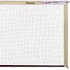 Сетка для бадминтона STAR DN100 6,1x0,76м