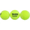 Мячи для падел тенниса TELOON PADEL CLUB WZPA818003-TRAIN TP-6163 3шт