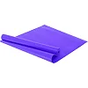 Коврик для фитнеса и спорта SP-SPORT FI-8721 173x61x0,3см (Фиолетовый)