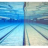 Очки для плавания Speedo BIOFUSE 2.0 GOG AF синий, оранжевый OSFM