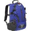 Спортивный рюкзак с каркасной спинкой DEUTER G29 31л (Темно-синий)