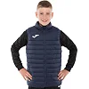 Жилетка мужская JOMA

 URBAN V 103795-331 3XS-XXL (Темно-синий)