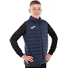 Жилетка мужская JOMA

 URBAN V 103795-331 3XS-XXL (Темно-синий)