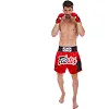 Шорти для кікбоксингу
 FAIRTEX BS0638 (Червоний)