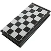Шахматы
 пластиковые на магнитах Bear Card 2612A
 36см x 36см х 2см