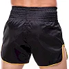 Шорти для кікбоксингу
 FAIRTEX BS1903 BLACK/YELLOW