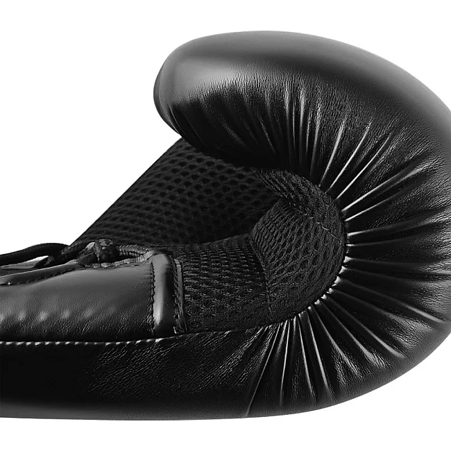 Боксерські рукавички Adidas Hybrid 250 Duo (чорні, ADIH250TG)