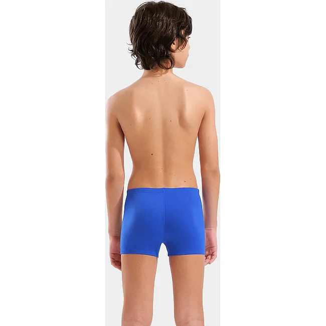 Плавки-шорты для мальчиков Arena BRIGHT SWIM SHORT синий, желтый (для детей)