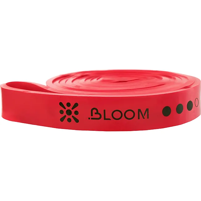 Резина петля для подтягиваний BLOOM SUPER BAND LB7071-3