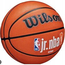 Мяч баскетбольный Wilson JR NBA FAM LOGO AUTH OUTDOOR BSKT size 7