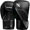 Боксёрские перчатки HAYABUSA E1 Black Grey