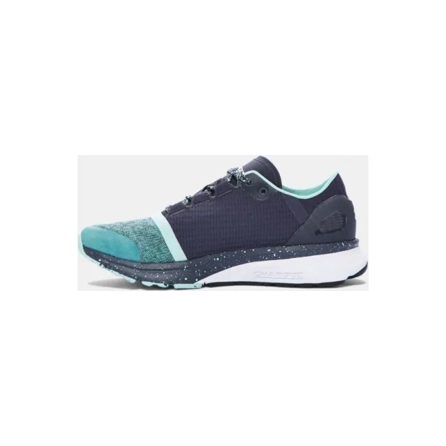Кроссовки женские UNDER ARMOUR Womens Charged Bandit 2