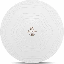 Мяч для пилатеса BLOOM MINI l LB7001-25 25см (Белый)