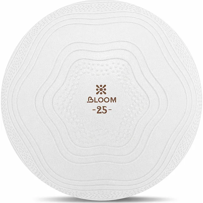 М'яч для пілатесу BLOOM MINI l LB7001-25 25см (Білий)