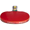 Ракетка для настольного тенниса GIANT DRAGON KARATE P40+ 4star MT-5691 ST12402P