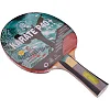 Ракетка для настольного тенниса GIANT DRAGON KARATE P40+ 4star MT-5691 ST12402P