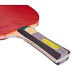Ракетка для настольного тенниса GIANT DRAGON KARATE P40+ 4star MT-5691 ST12402P