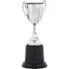 Спортивный кубок наградной SP-SPORT Aim C-4522 22см (Золотой)