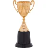 Спортивный кубок
 наградной SP-SPORT
 Aim C-4522
 22см (Бронзовый)