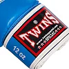 Распродажа! Боксерские перчатки Twins FBGVSD3-TW6