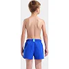 Шорты для плавания Arena BEACH SHORT LOGO R синий (для детей)