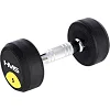 Гантель прорезиненная HMS HG PRO, 5 кг