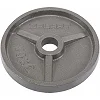 Блины диски стальные окрашенные ZELART TA-7792-10 52мм 10кг