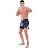 Шорти для кікбоксингу
 FAIRTEX BS1915 (Синій)