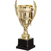 Спортивний кубок
 нагородний SP-SPORT
 Success JZ001-1B
 31см