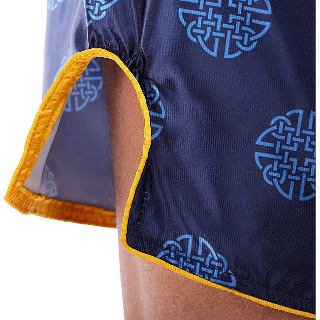 Шорти для кікбоксингу
 FAIRTEX BS1915 (Синій)