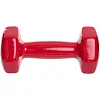 Гантель для фитнеса 2кг ZELART TA-2825-2 (упаковка 10 шт)
