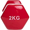 Гантель для фитнеса 2кг ZELART TA-2825-2 (упаковка 10 шт)