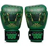 Рукавички для боксу FAIRTEX x Atencio BGV Premium Limited Edition Resurrection Pyramid Box