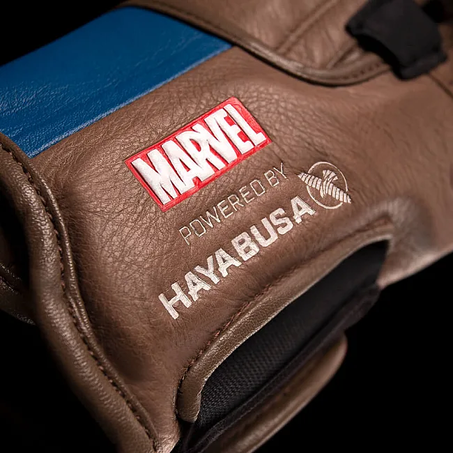Перчатки для бокса HAYABUSA tain America