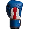 Перчатки для бокса HAYABUSA tain America
